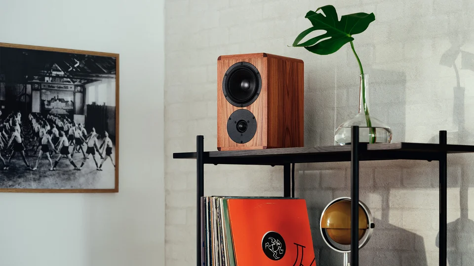 Dynaudio Legend — poziomy