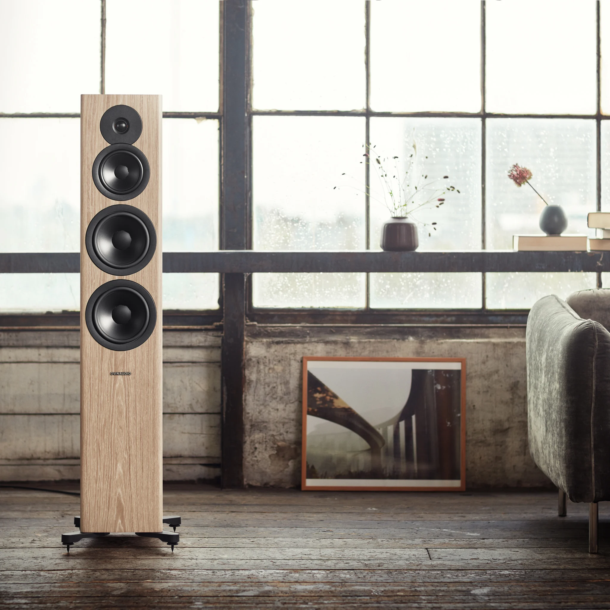 Dynaudio Evoke 50 — kwadratowy