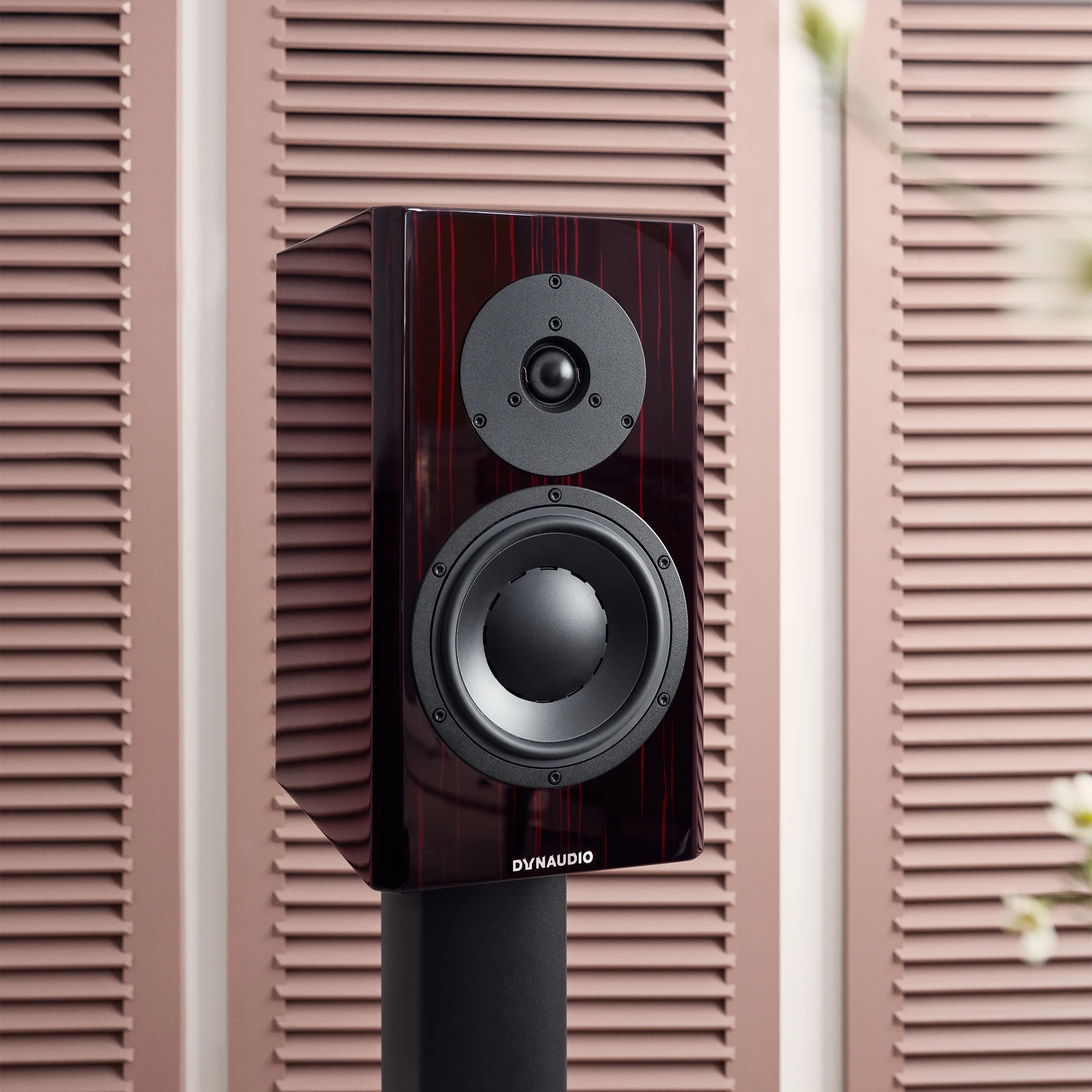 Dynaudio Special Forty — kwadratowy