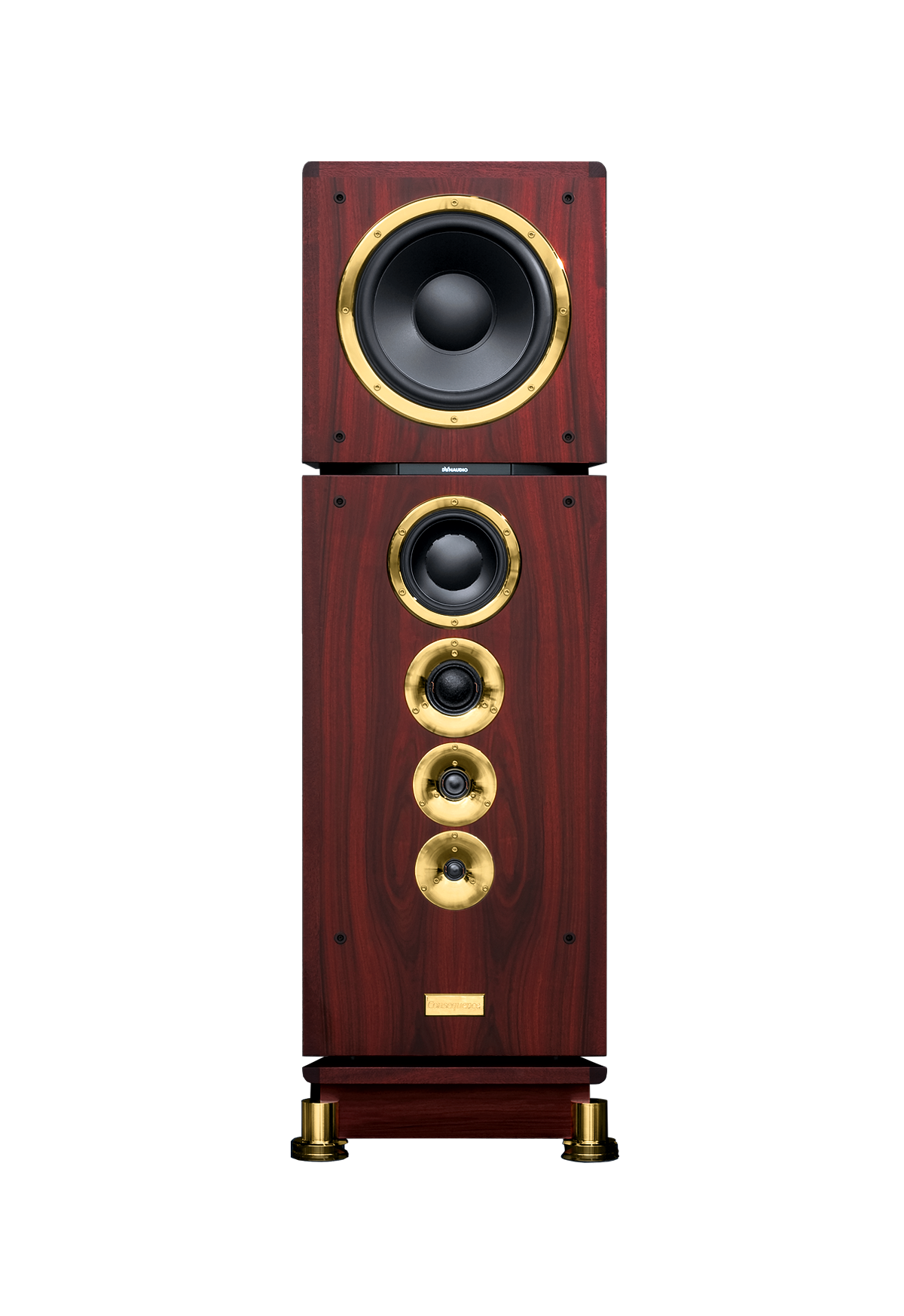 Dynaudio Consequence Ultimate Edition — pionowy