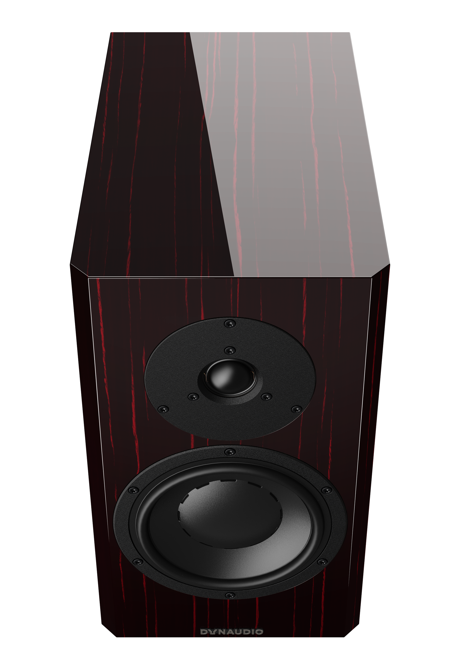 Dynaudio Special Forty — pionowy