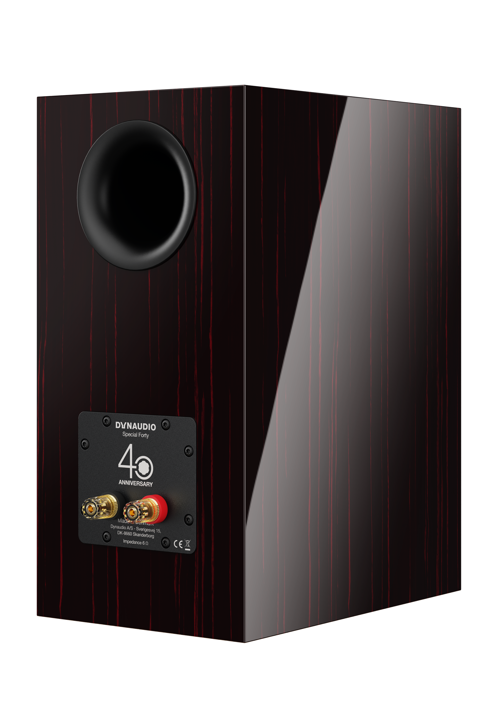Dynaudio Special Forty — pionowy