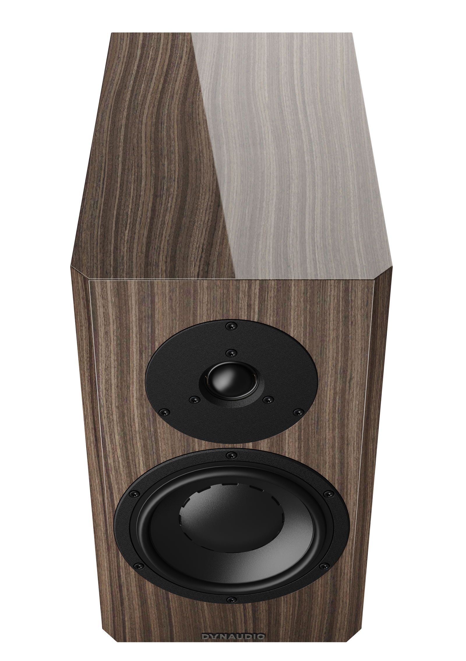 Dynaudio Special Forty — pionowy