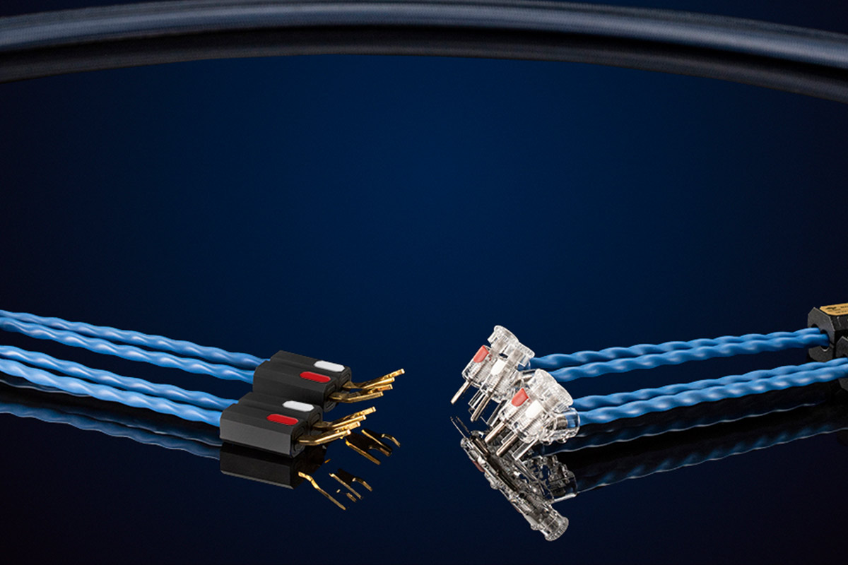 Siltech Royal Single Crown Speak — zdjęcie 2