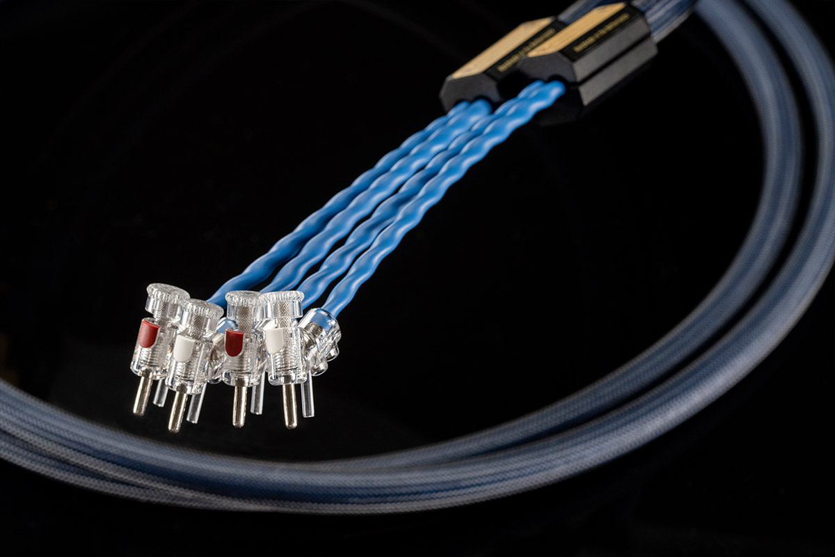 Siltech Royal Single Crown Speak — zdjęcie 3